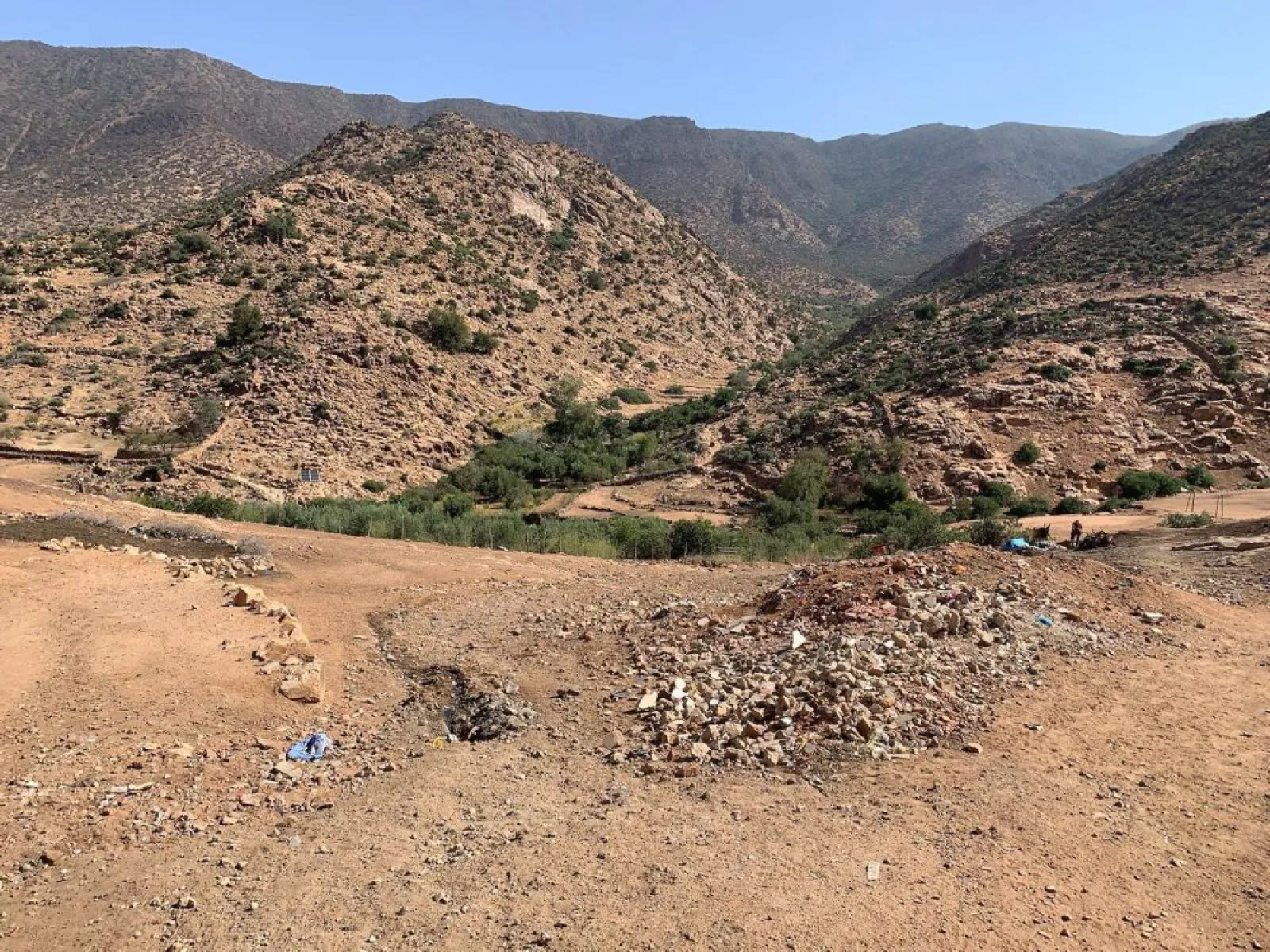 Signal 2023 10 24 143959 002