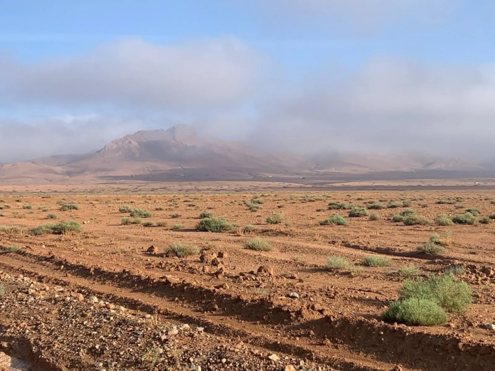 Signal 2023 10 24 144234 002