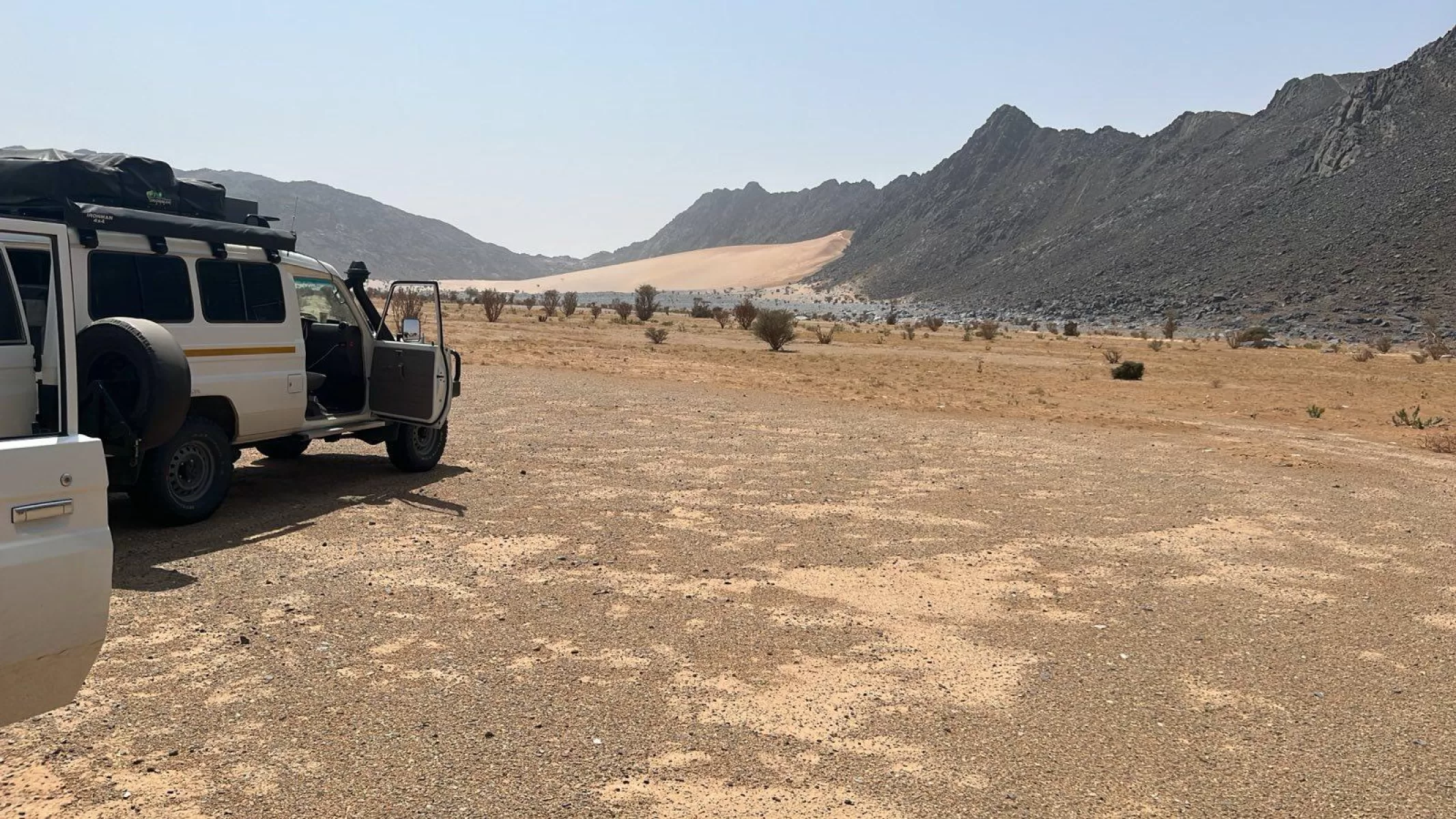 Signal 2025 03 22 081351 002