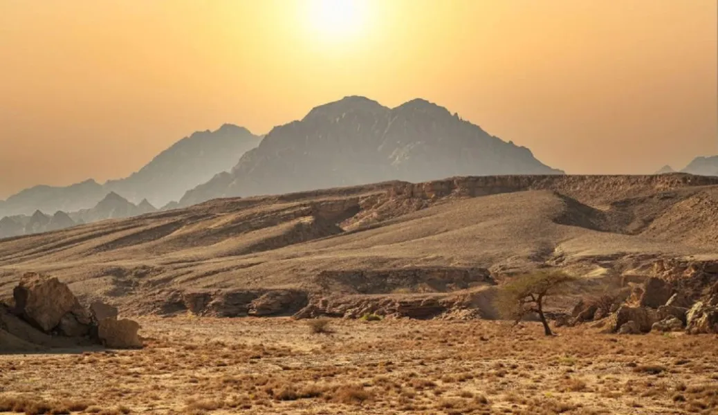 Saudi 1989581063 1024x592